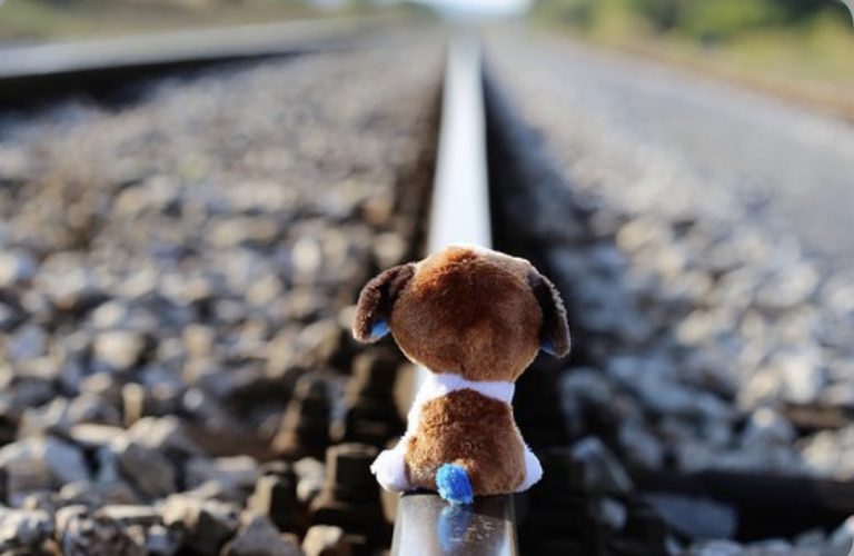 0513DD04-C6A1-47C9-812D-0CDDC8FF8F64