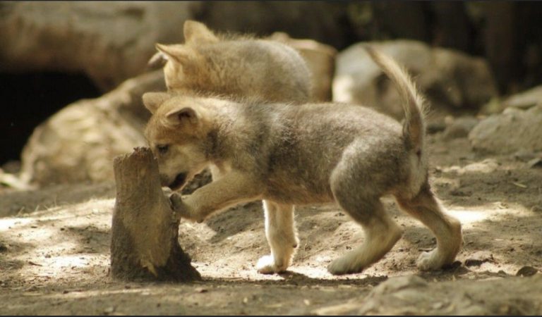 06730EB7-9864-4A12-972D-83FCC5127B38