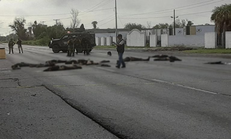 0E97FC66-41E1-48F7-9A8E-8DB58C951BBE