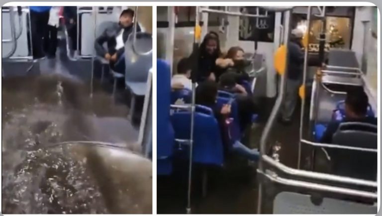 2EE14671-ACED-4FAA-A576-3FEE9667F236