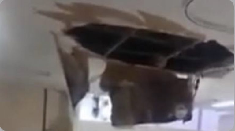 3DFF9732-B141-4EED-B9CA-3C98892A504A