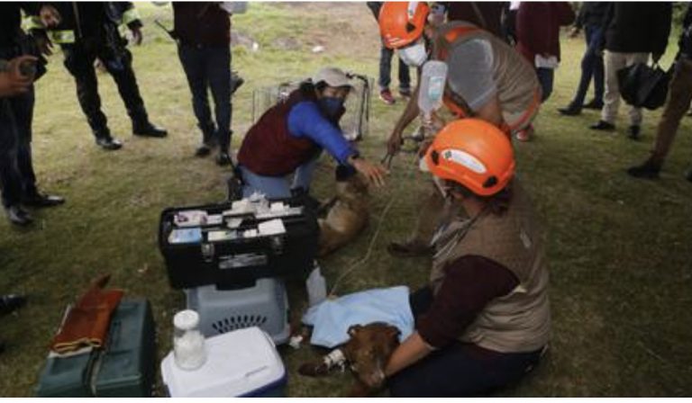 41BDBAD4-F996-46EC-8EC9-5030C68D030B