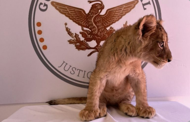 49F1C538-0680-4D58-BBFE-416B13594C8F