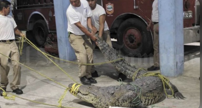 5DCE2BA6-FFB3-4FE8-89A1-D001CD2D0056