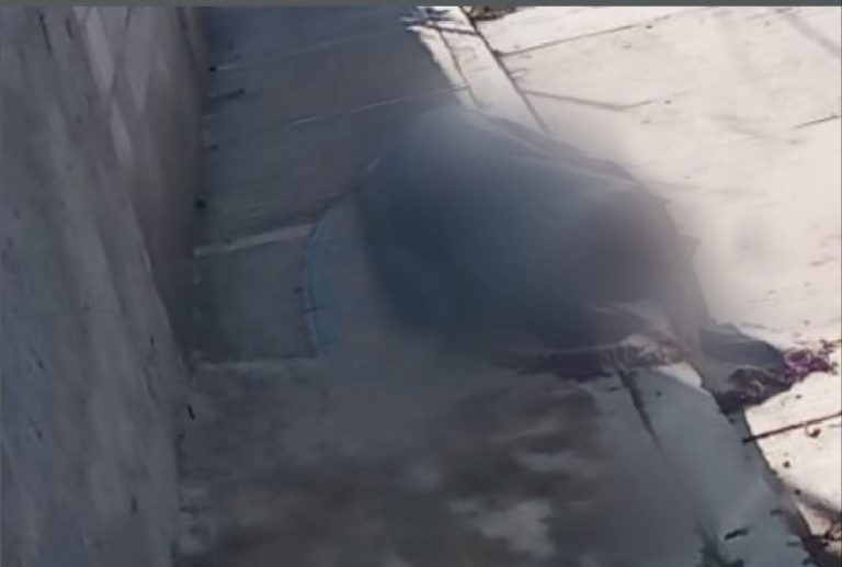 65D0ED87-539B-4617-A344-B0384DC0C01A