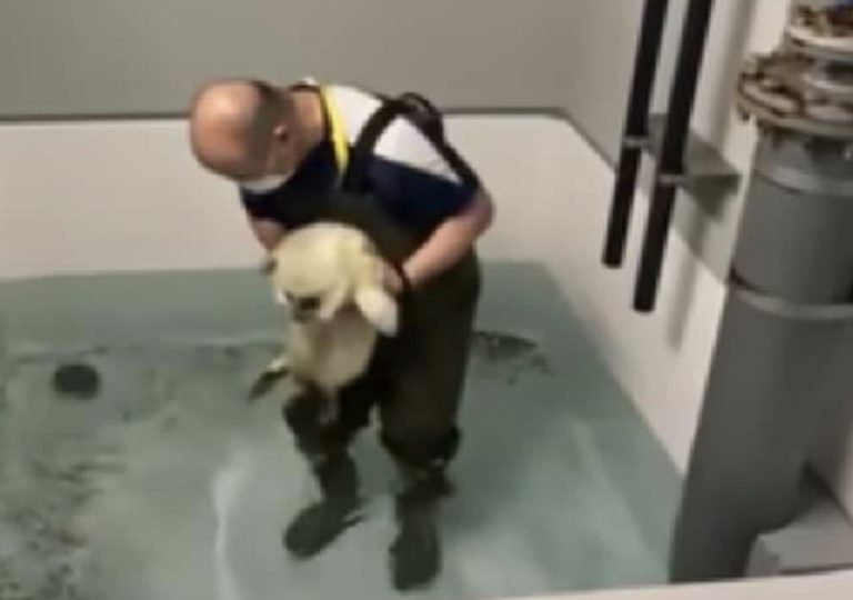 836F6AED-A06D-43DC-9F14-C2186FDC2801