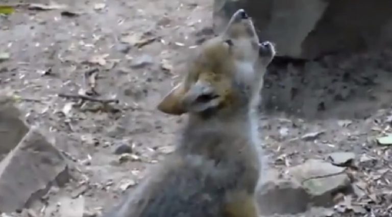 83F08294-6A4A-41DA-A53A-1BDC03C1E91E