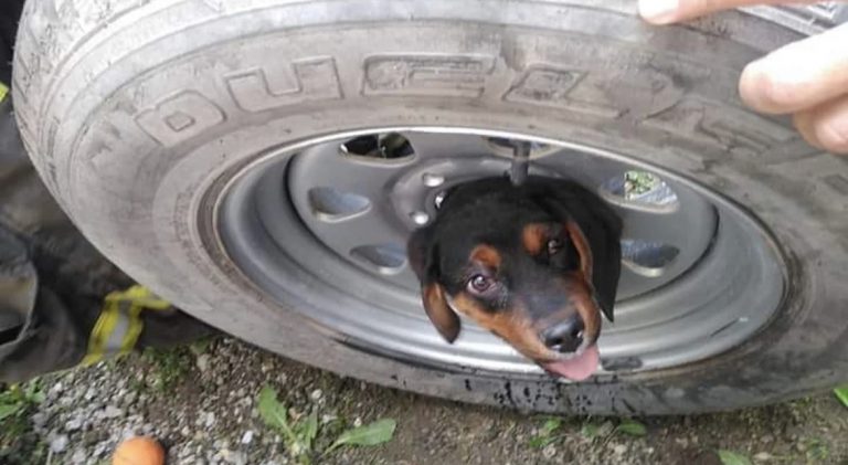 83F981F5-BA4B-4CA3-B0FD-899B9A6E01E8