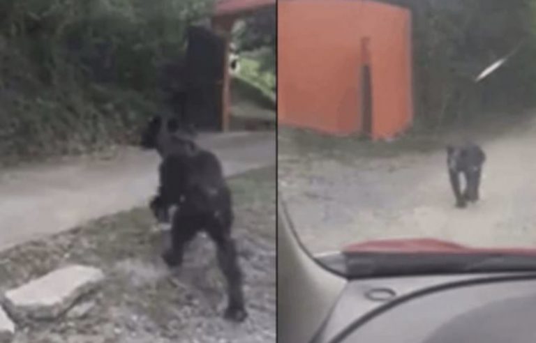 87E9E3FE-027B-45C8-9B82-605FE613FC66