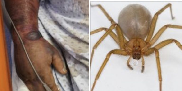 8F6C7465-F332-4DF8-89A1-A142F76E4CA9