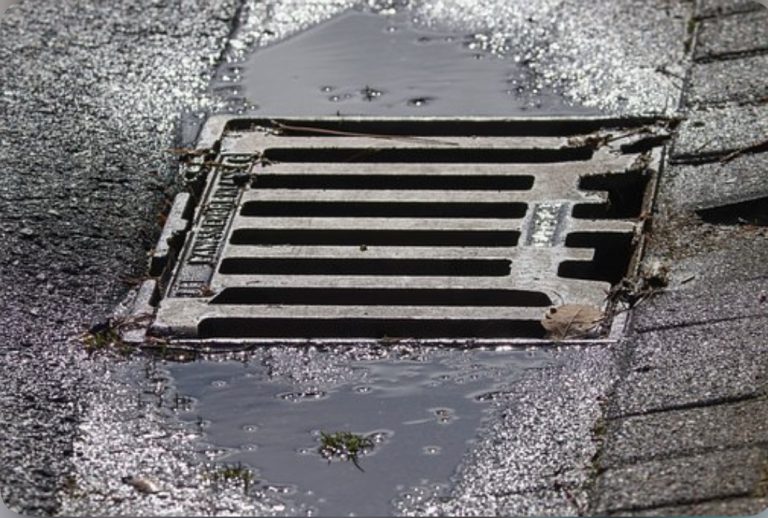 92E44B0D-582E-438D-9104-6DD1516F56F4