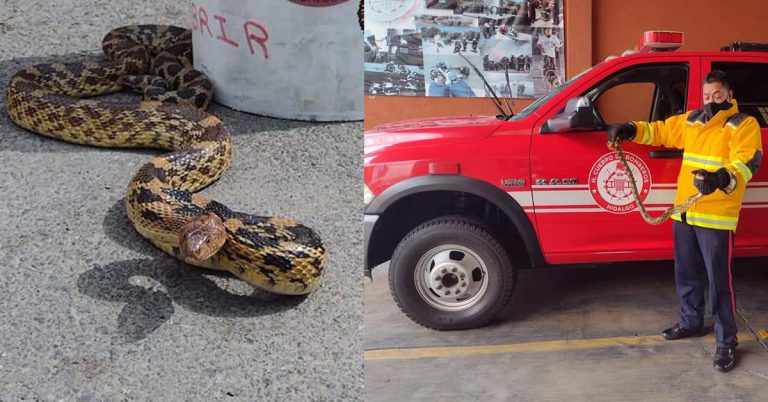 9E28A3EA-A0E2-4232-8D10-1F6A6FCA62FC