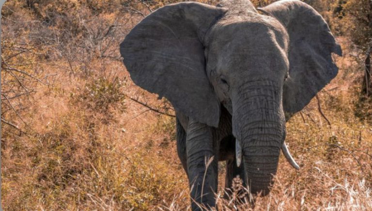 A06FDF82-BE1B-40F3-84EE-89425B769077