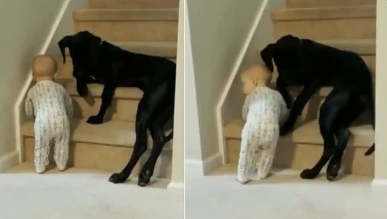 AC9EECB2-C871-4AD3-B7F1-72ED83D5751A