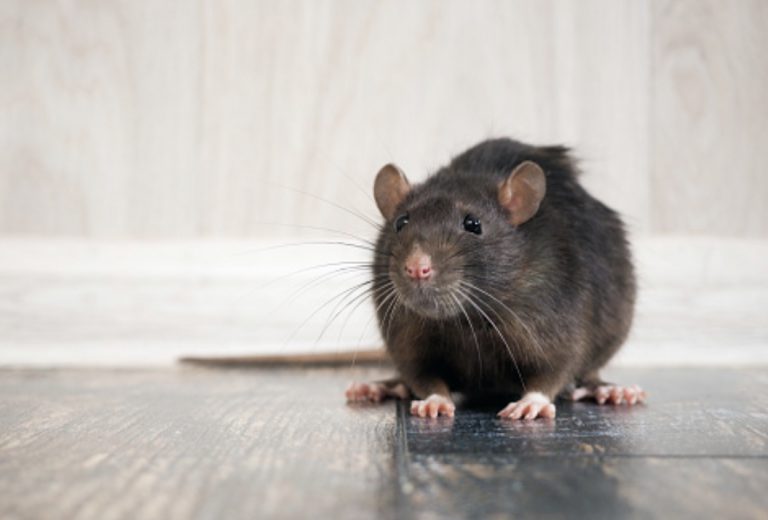 B927105F-69DC-41E2-B946-F61F27764B46