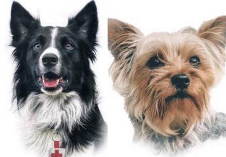 BD9E0205-F139-4047-BABA-F67B8141E04C