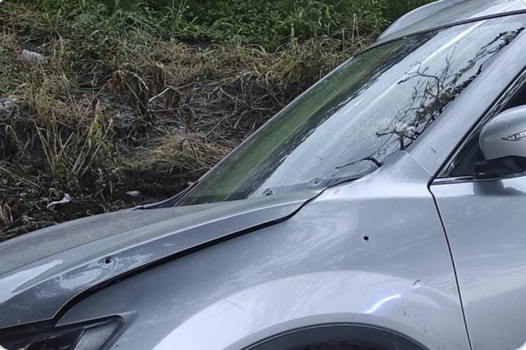 C1C4D848-3492-4C0D-BF28-52FAA402EB6F