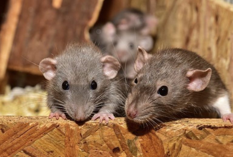 CFAF8185-F377-44F9-862F-D0F1818FE6A5