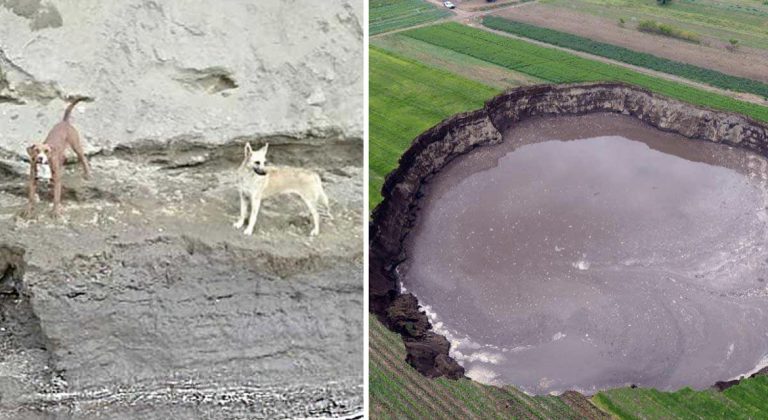 D120CF3D-84A9-42D1-AF0E-805E511B2DBB