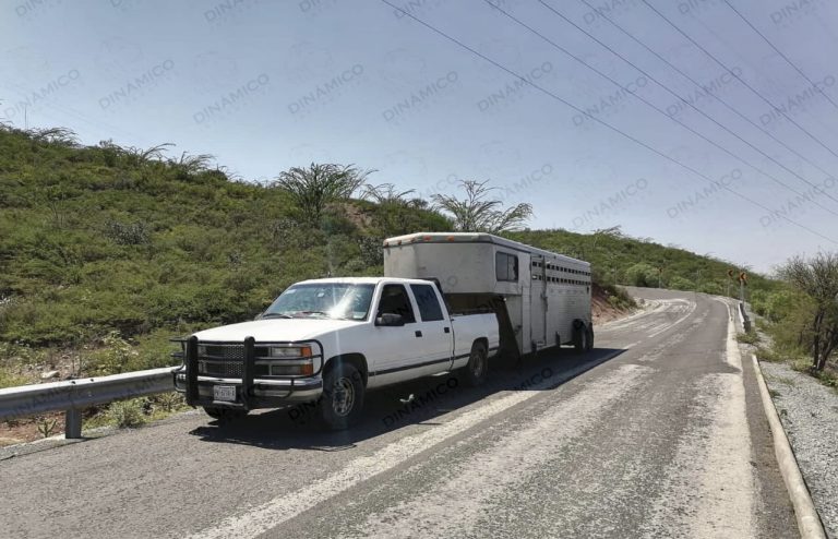 D1D5E04A-F29B-4EE0-B12A-CE196CE94558