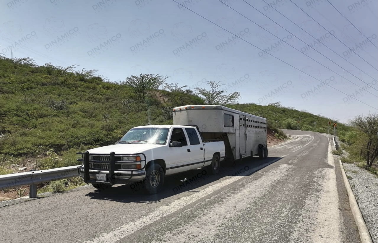 D1D5E04A-F29B-4EE0-B12A-CE196CE94558