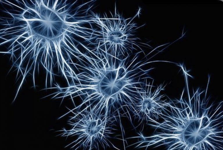 D807889C-A288-42DD-B111-D291C8811933