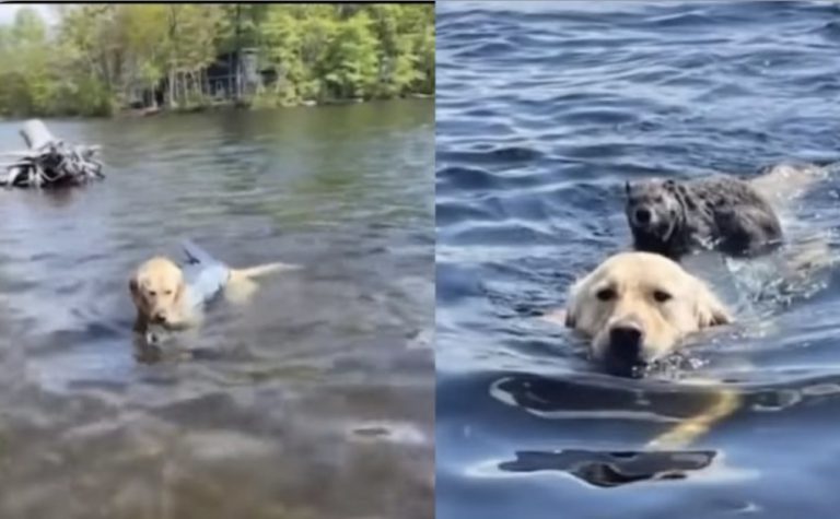 D807D82B-0661-488A-B4DC-3709DF09B8BD