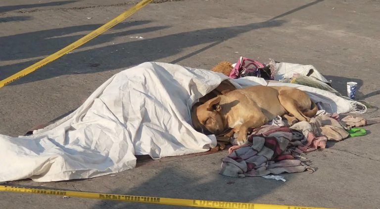 61A9449C-627D-4ABB-A277-55FA3BF14C06