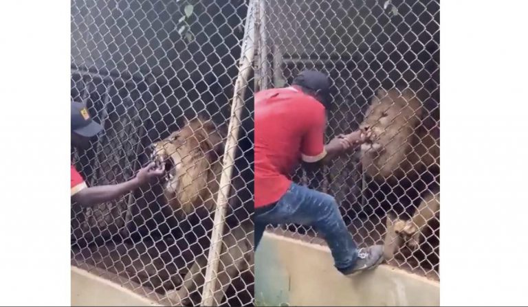 474D477F-7665-4E7D-8B1C-A89943D2CD78