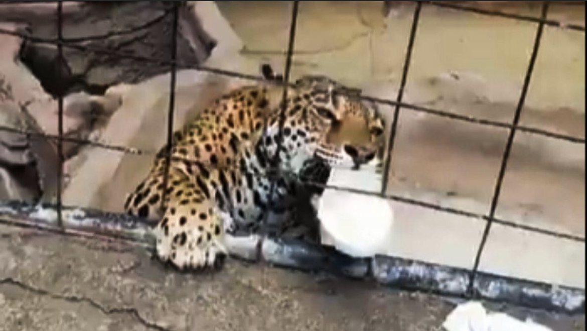 56E0E77F-6B77-4ECD-92FE-0781E4A745EF