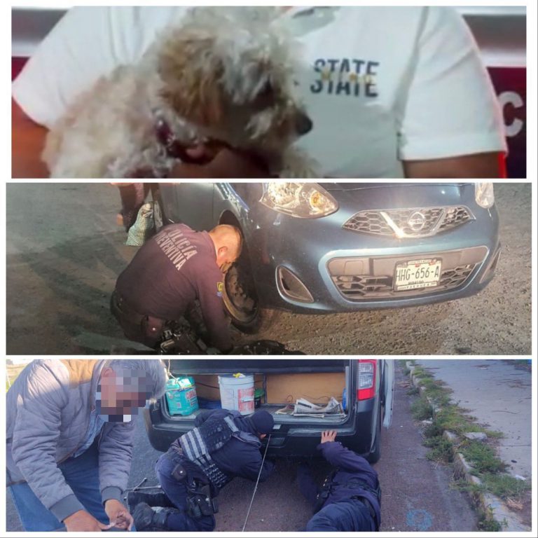 AE04DE0D-614D-46CA-AF61-6079986C2E9C