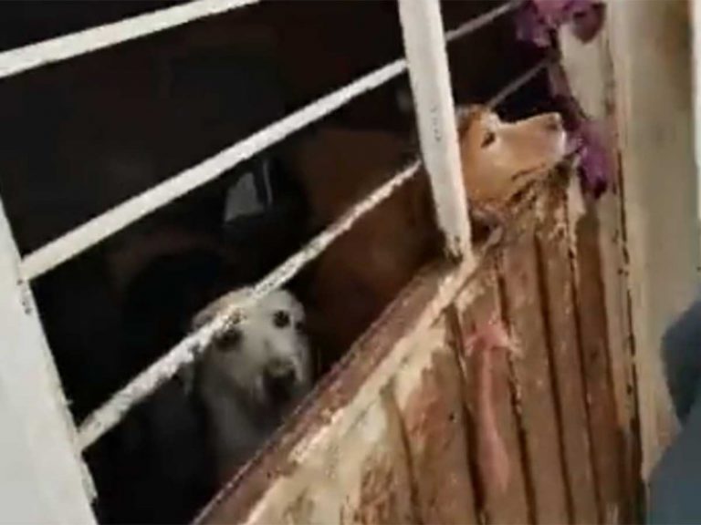 BB2E7F3E-277B-4683-A2E4-C5395FE0DBBA