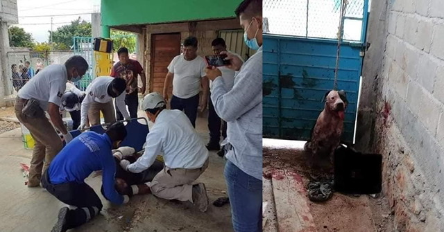 139DC6AB-82F8-4613-9E54-35E3E1A27BA8