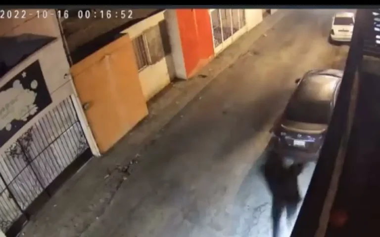 19A527B5-6CA9-4949-BA7A-6C13F352D8EF