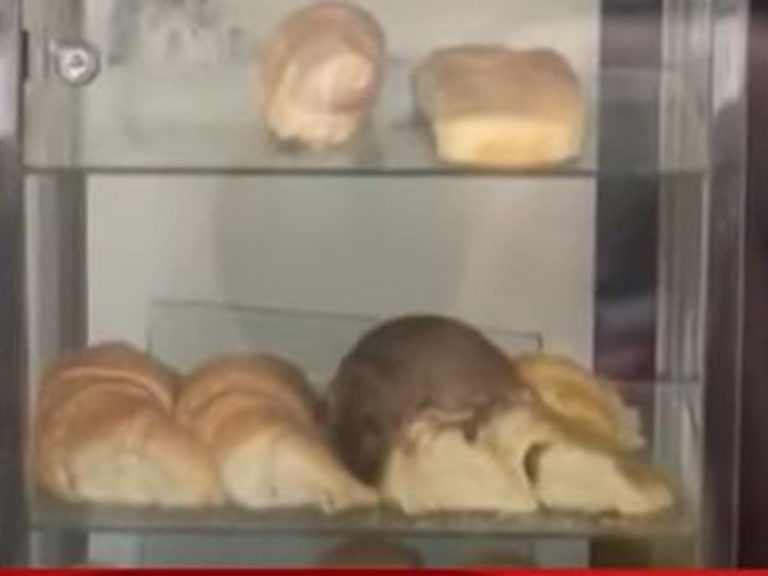 21A55631-867C-41D0-AE3A-A3F1323D109C