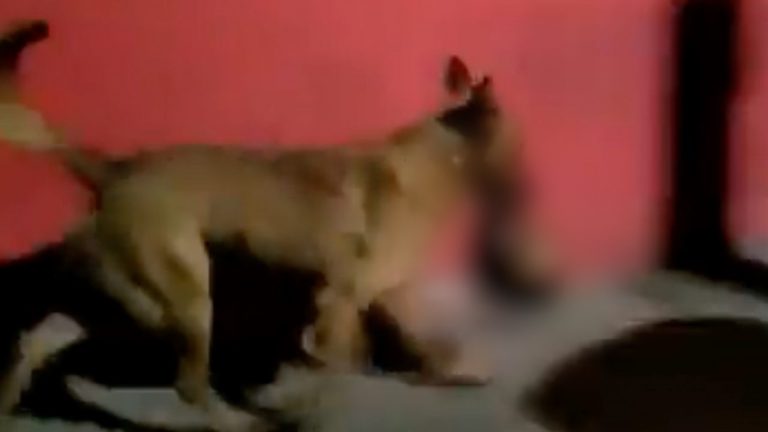 7645B0A1-1AF9-4D63-A734-970E7B6CBB0F