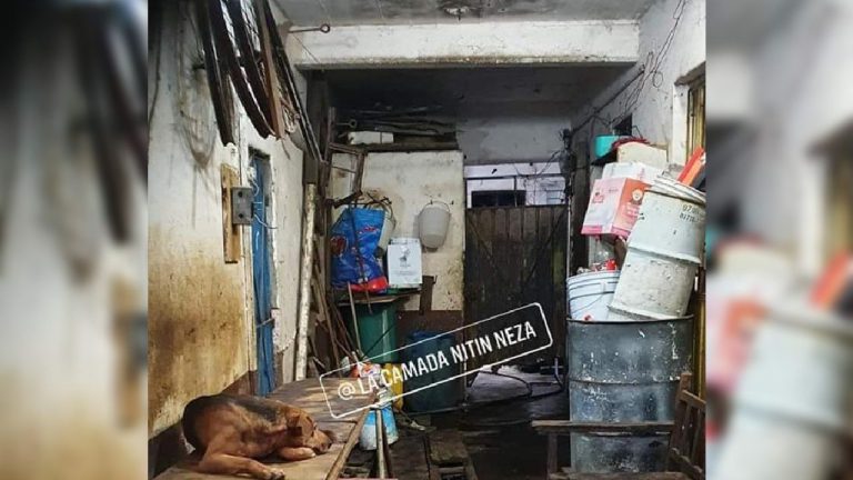 A317E738-44D4-4C09-8D29-6F359C15C7EC