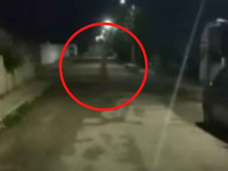 E1486A8F-C555-4ED7-9DA0-5E5FB51ABB78