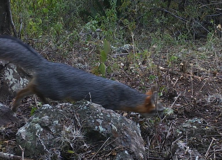 M2E104A1L145-144.7810058-144.7810058