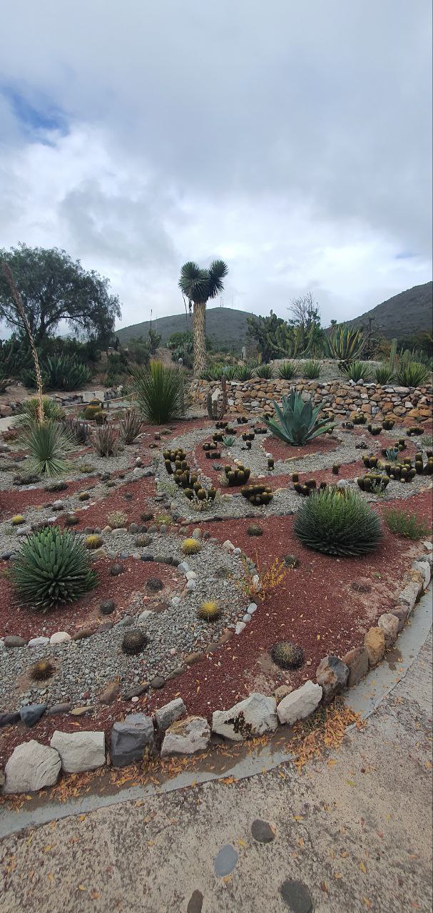 photo_2022-11-30_16-34-25