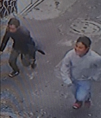 Screenshot_20221226-224045_Samsung Internet