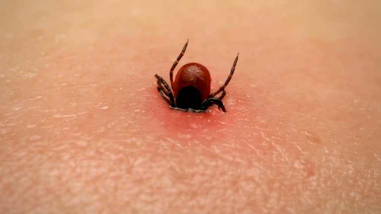 f960x540-192628_266703_0