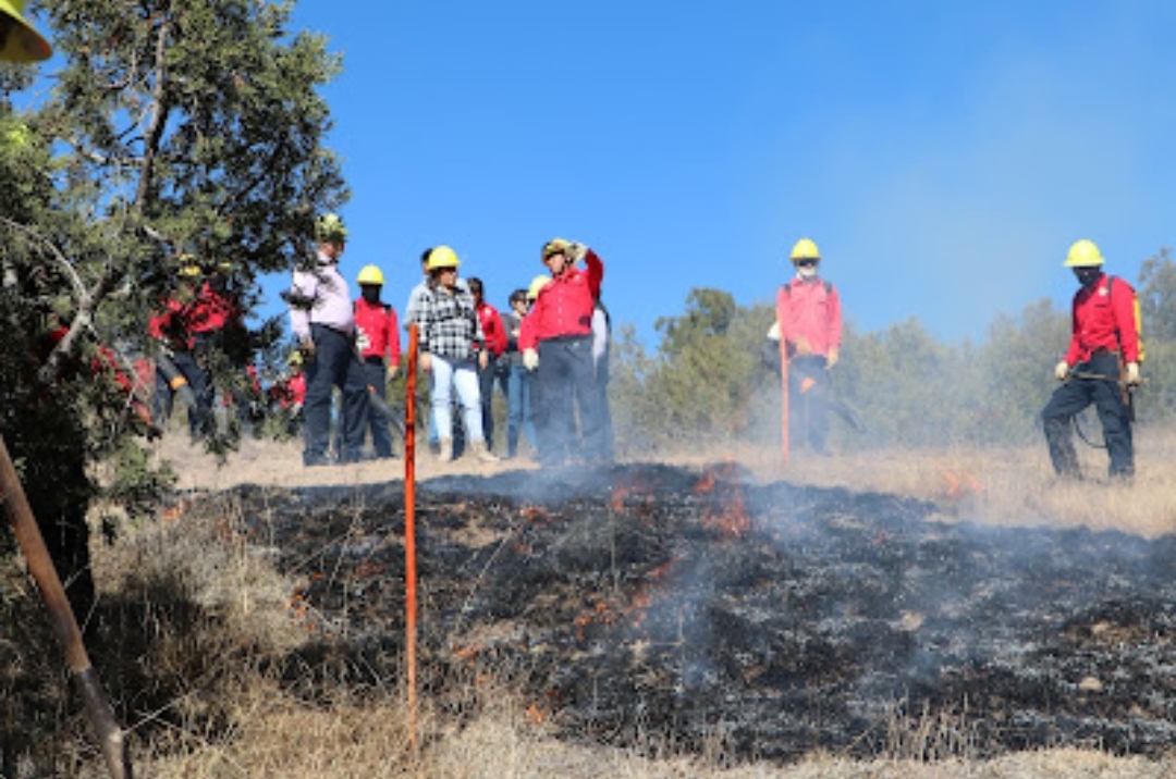 Screenshot_20230111_110646