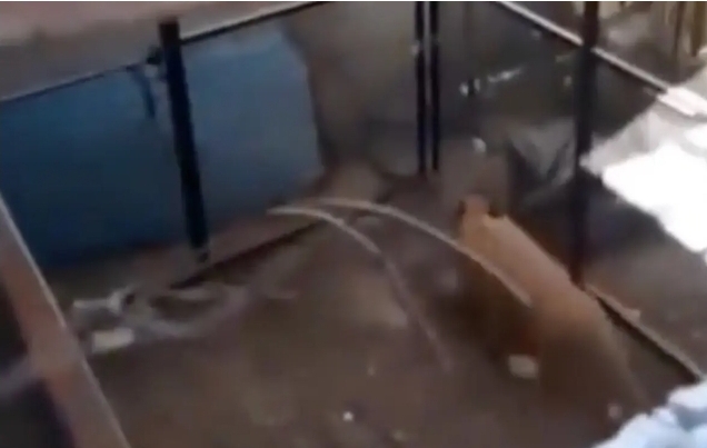 Screenshot_20230114_090541_Facebook