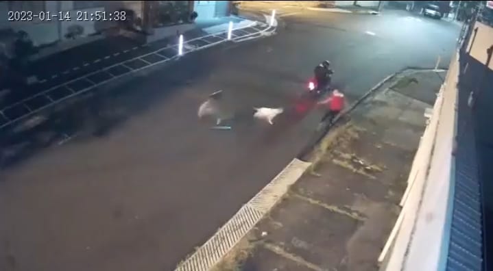 WhatsApp Image 2023-01-20 at 2.32.22 PM