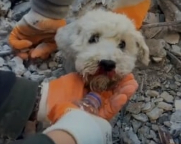 Screenshot_20230209_083602_Samsung Internet