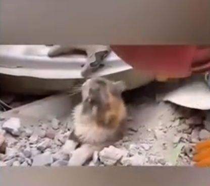 Screenshot_20230209_201523_Samsung Internet