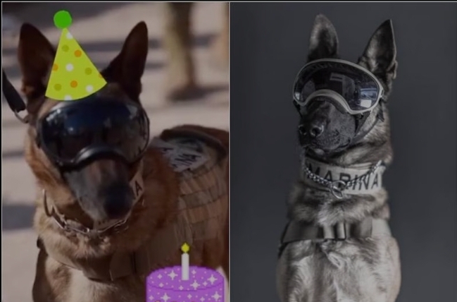 Screenshot_20230213_163042_Samsung Internet