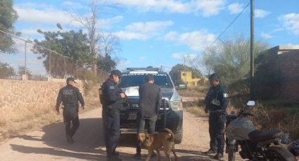 f425x230-665912_679894_0