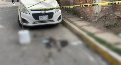 f425x230-679093_693075_0